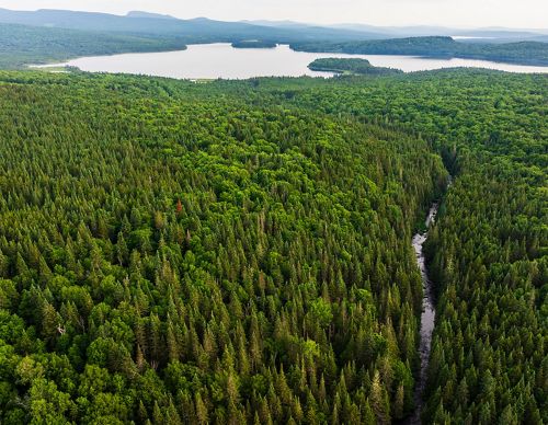 Drone view of East Inlet Stream in Pittsburg, New Hampshire. Second Connecticut Lake is in the distance.