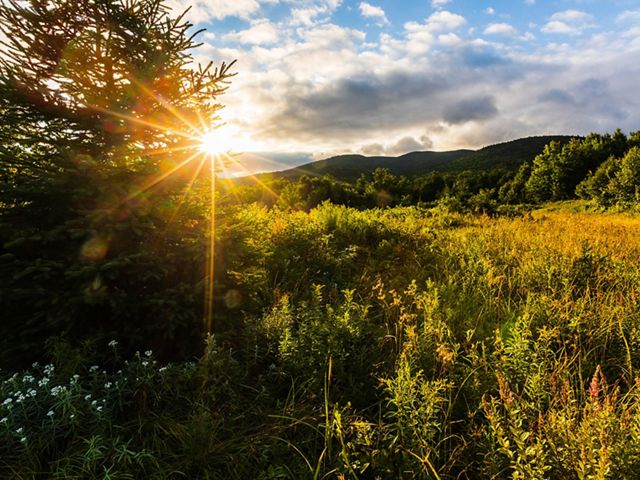 The sun sits low on the horizon over a green and yellow meadow leading up to a green mountain range.