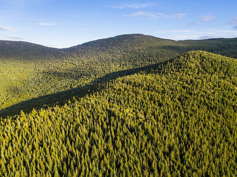 A view from above of forested green mountains.