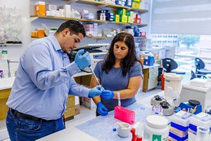 In a genetics lab, two research scientists insert DNA samples from Eastern hemlocks into a vial.