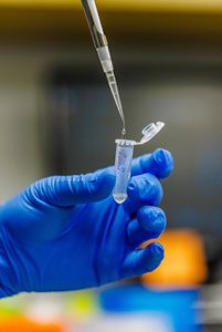 A blue-gloved hand uses an eye-dropper to deposit DNA strands into a test tube.