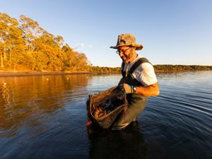 Brian Gennaco, owner of the Virgin Oyster Company, harvests oysters from an oyster bag on his oyster farm in Little Bay in Durham, New Hampshire.
