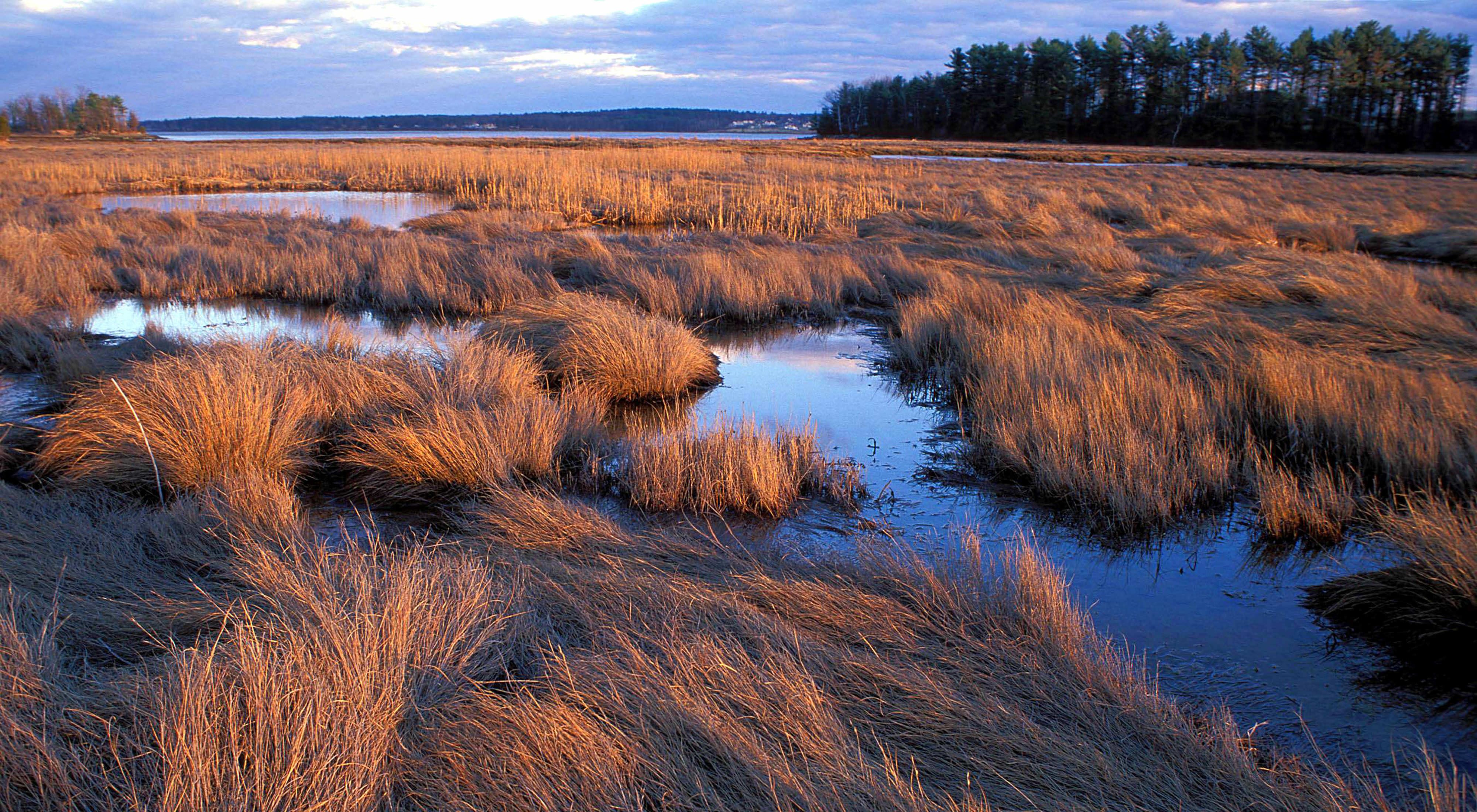 Sunset on the salt marsh at Lubberland Creek Preserve in Newmarket, New Hampshire.