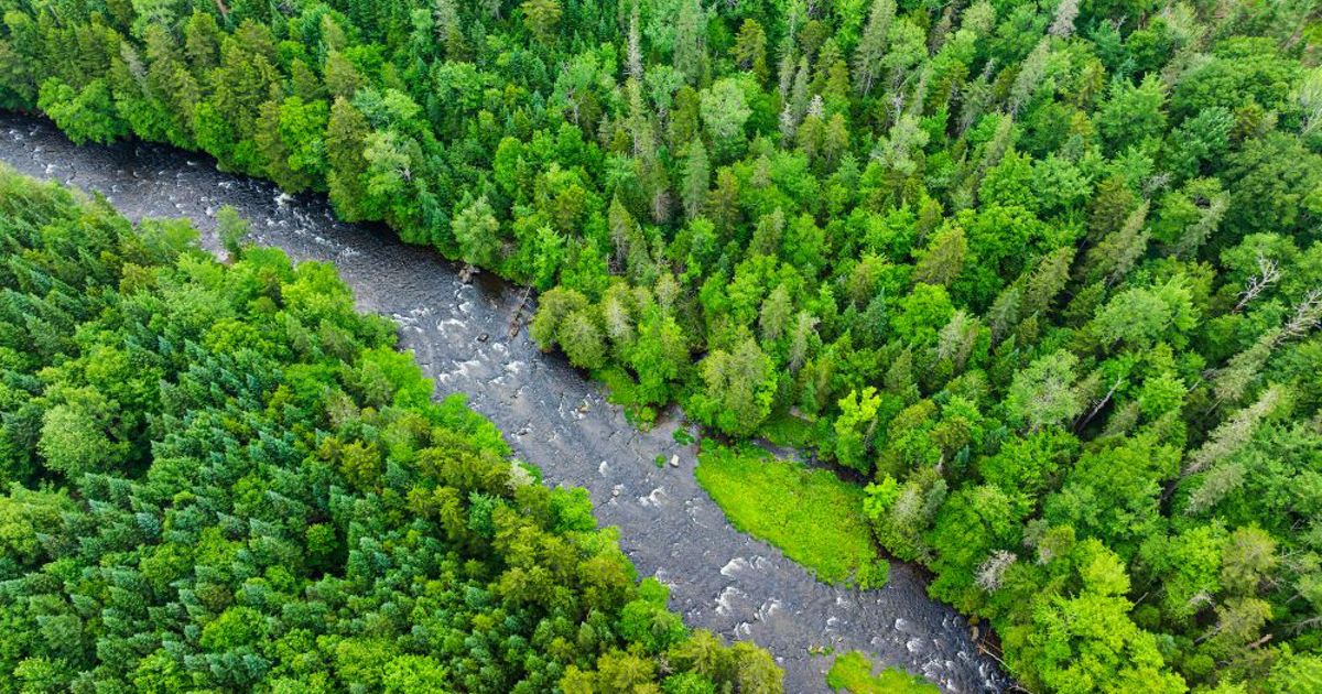 Appalachian Rivers Reconnecting Appalachian Rivers | The Nature Conservancy