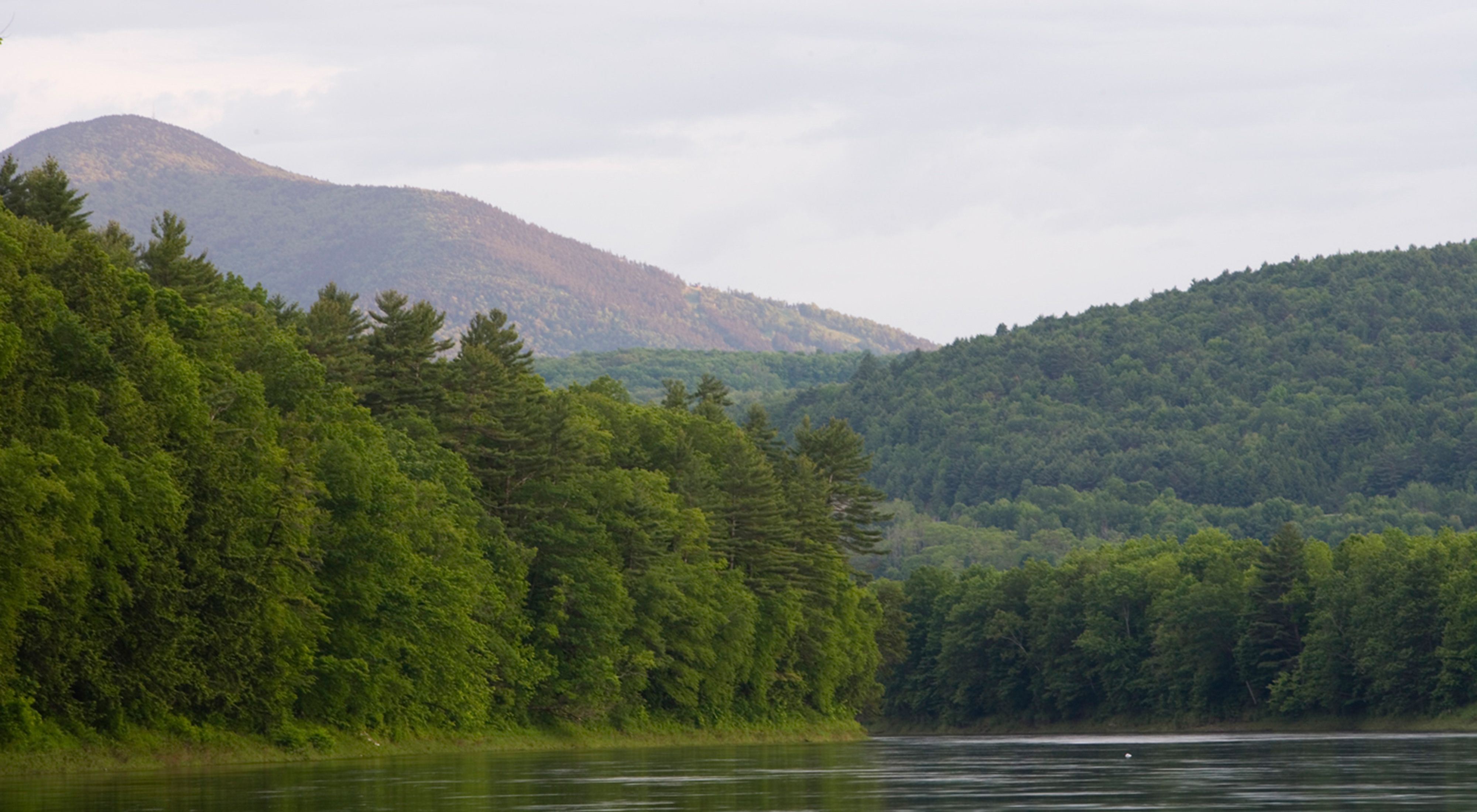 The Connecticut River flows past the Conservancy's Silverweed Seep Preserve in Plainfield, New Hampshire