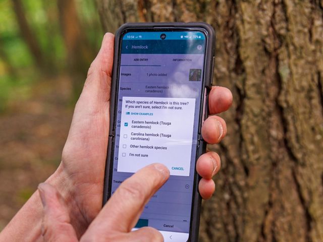 TreeSnap