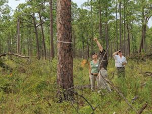 25 Years of Protection and Partnership at Moody Forest