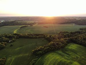 Aerial view of row crops and woodland.