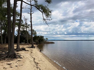 A sandy beach meets calm water in South Carolina.