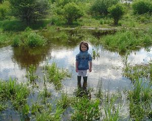 A young girl stands in the middle of a large, shallow pool of water with green grasses and plants popping up from the water.