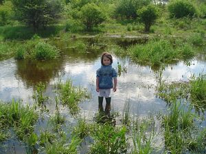 A young girl stands in the middle of a large, shallow pool of water with green grasses and plants popping up from the water.
