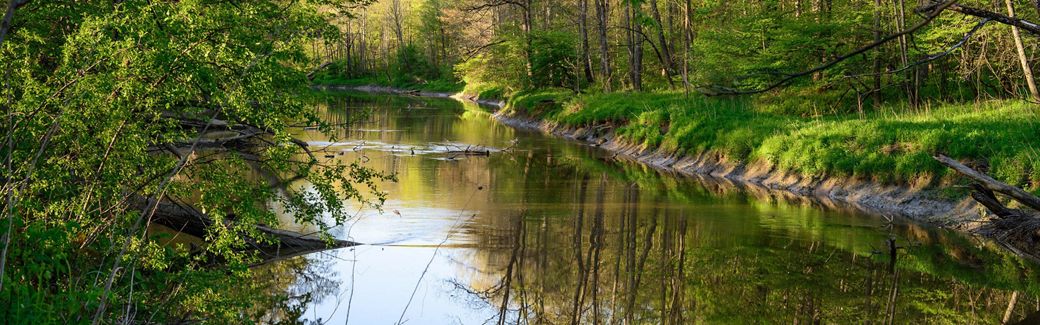 A stream meanders through a wooded area, with short dirt banks on either side.