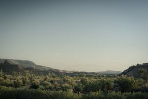 Vast green grasslands and rocky canyons that stretch into the horizon.