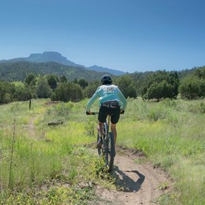 A person riding a bike in a forest.