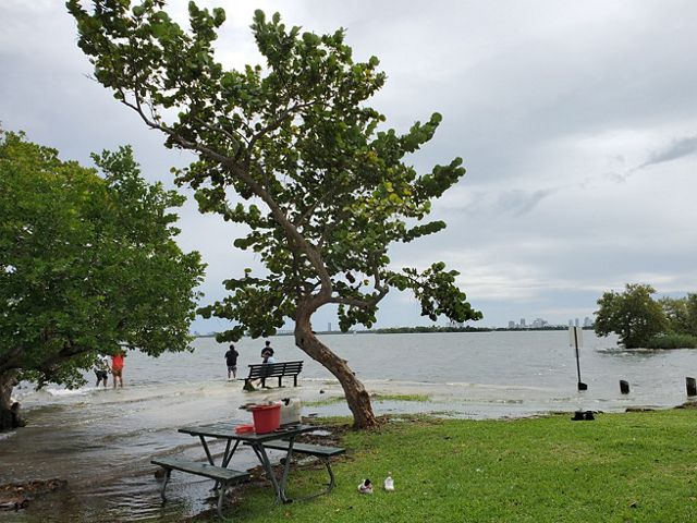 Morningside Park in Miami Florida during a King tide spills water over the shoreline, covering benches and picnic tables.