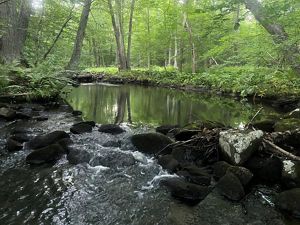 New Hiking Trails Open at TNCs Moshassuck River Preserve