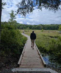 A person walks along a boardwalk that leads into an open natural area.