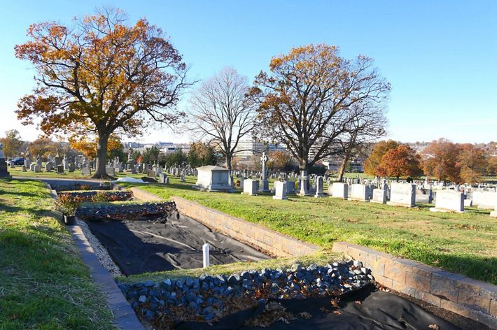 A wide lined channel intercut at spaced intervals with rock baffels provide the starting point for what will become part of a green infrastructure stormater project.