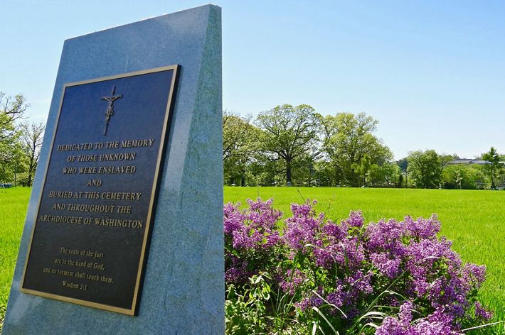A large granite memorial with an inset brass plaque sits in an open green space. A cluster of pink flowers bloom at the monument's base.