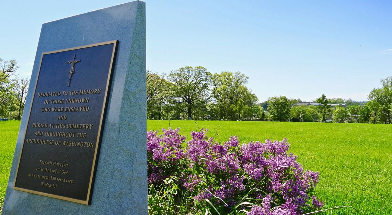 A large granite memorial with an inset brass plaque sits in an open green space. A cluster of pink flowers bloom at the monument's base.