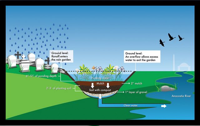 Diagram showing how the green infrastructure at Mount Olivet Cemetery works to keep stormwater runoff from polluting local waterways.