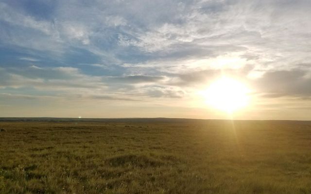 View of a Webb Ranch field at sunrise.