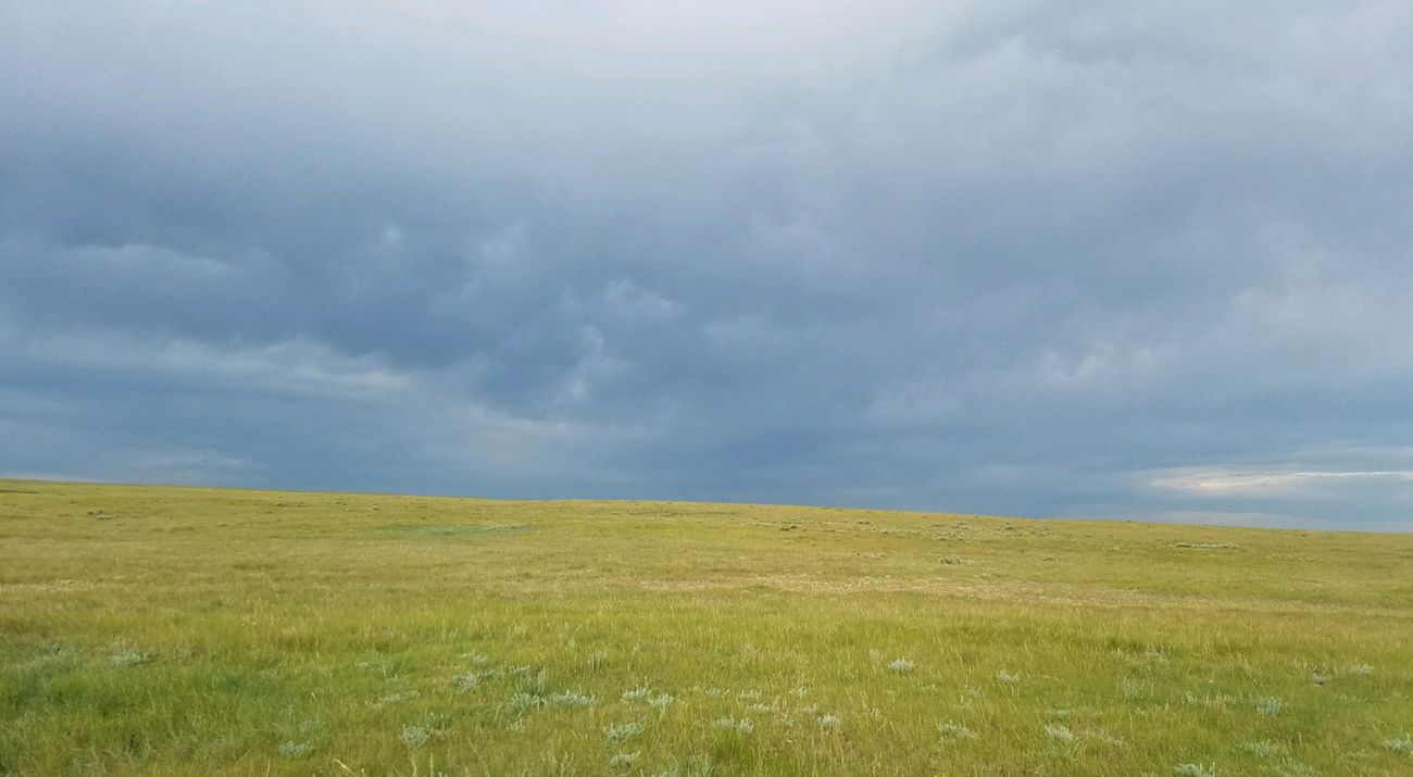 View of a vast green prairie under a cloudy blue sky at Webb Ranch.