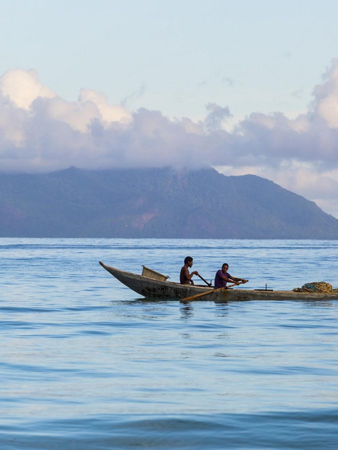 Two people rowing a canoe with island in background.