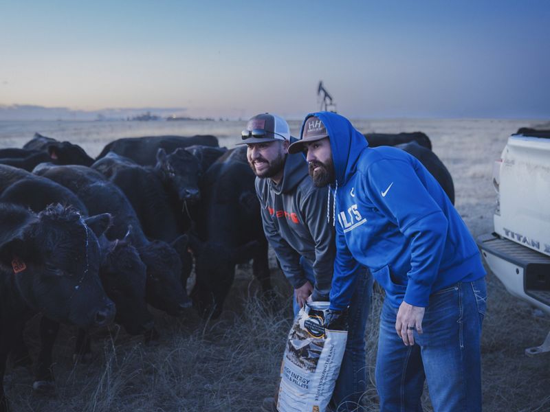 Two people surround by cattle.