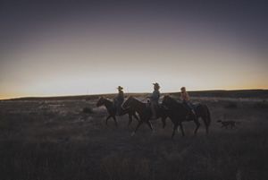 Group of people on horses in field. 
