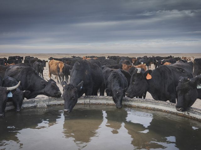 Farm Bill EQIP
