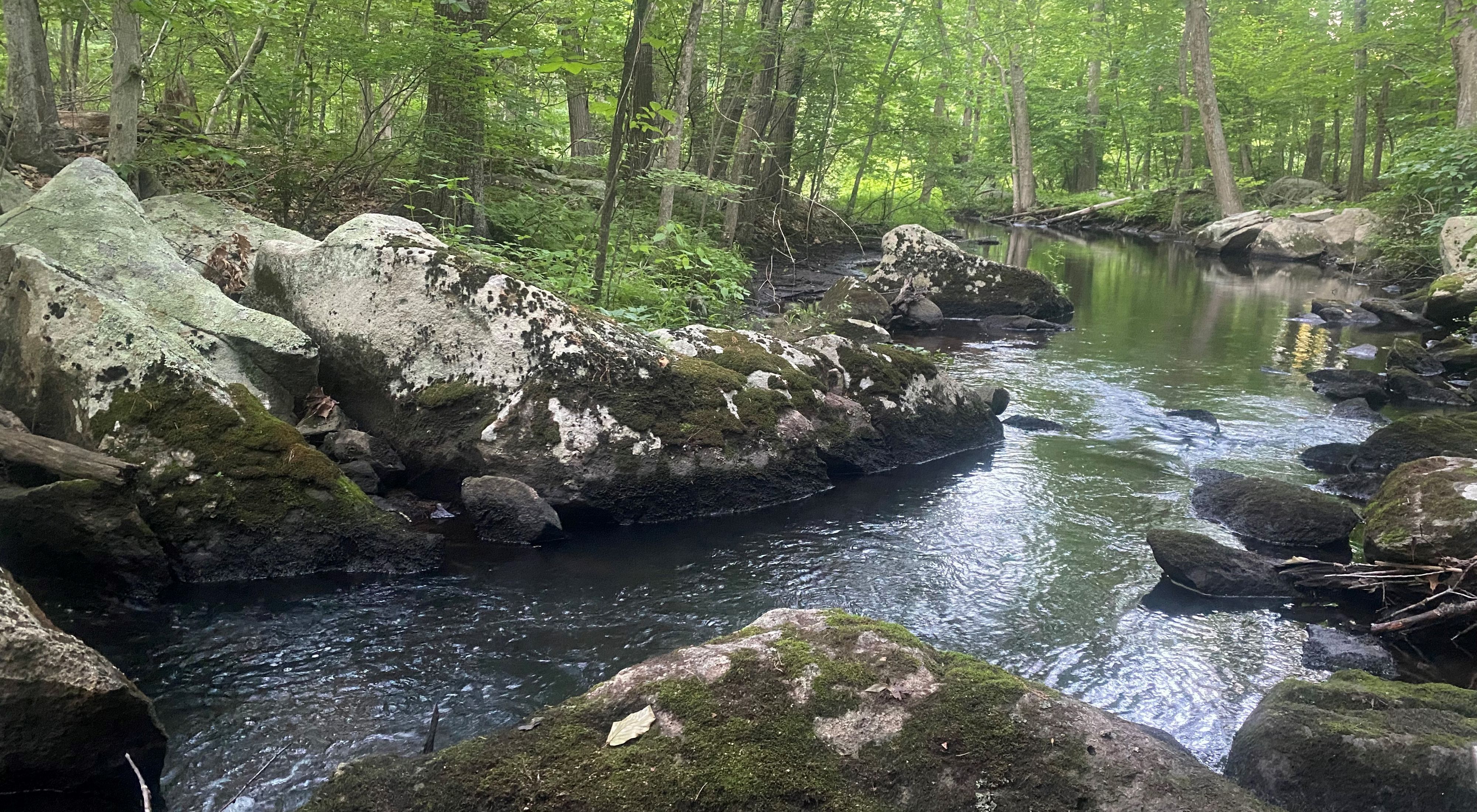 A small river flows under a green forest canopy. Gray granite boulders line both banks.  
