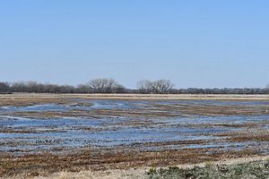 A partially flooded field.