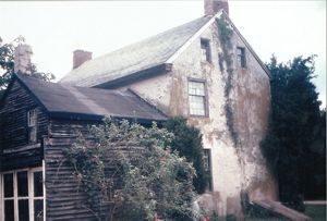 Old farmhouse in the woods. 
