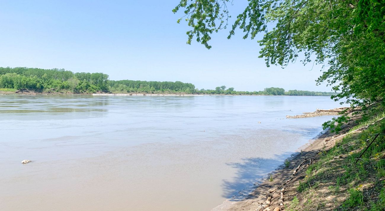 A river running between two forested banks on a sunny day.