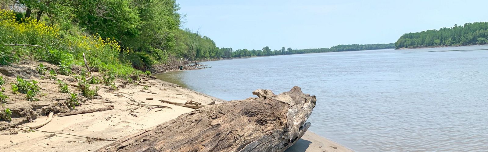 A log laying on a sandy beach along a wide river with forests along its banks. 