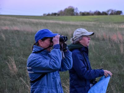 Two women watch for birds in a grassy field at dawn.