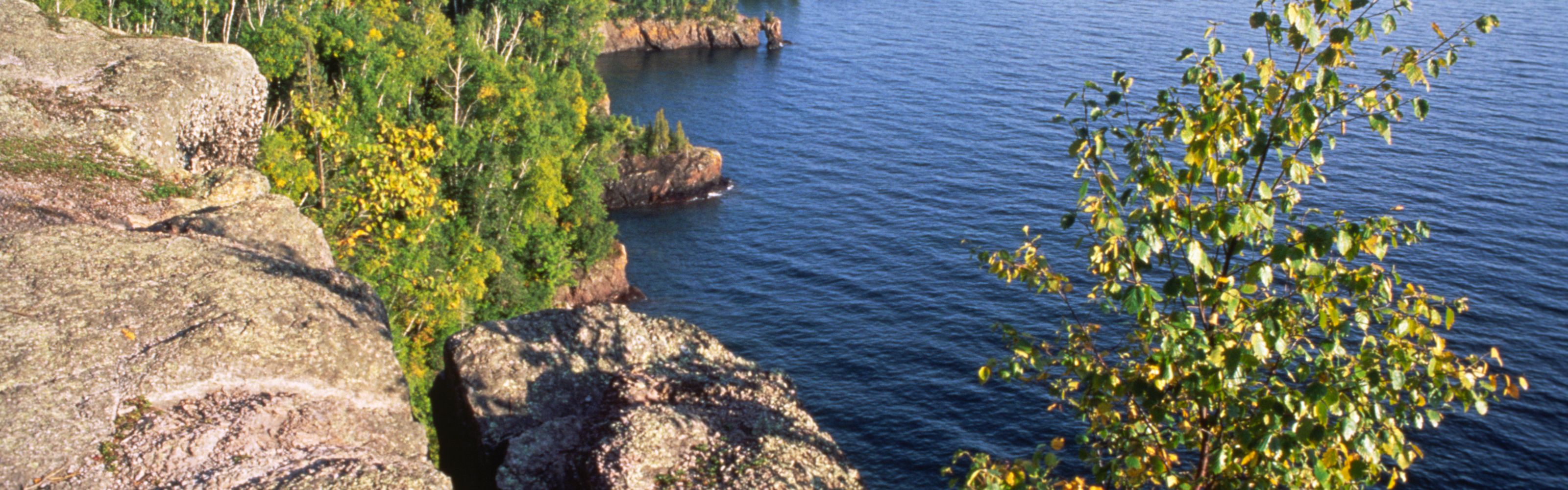 Forested cliff overlooking lake.