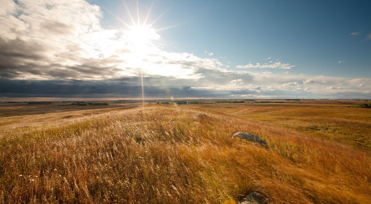 The sun shines through a partially cloudy sky and onto a vast prairie of golden grasses.