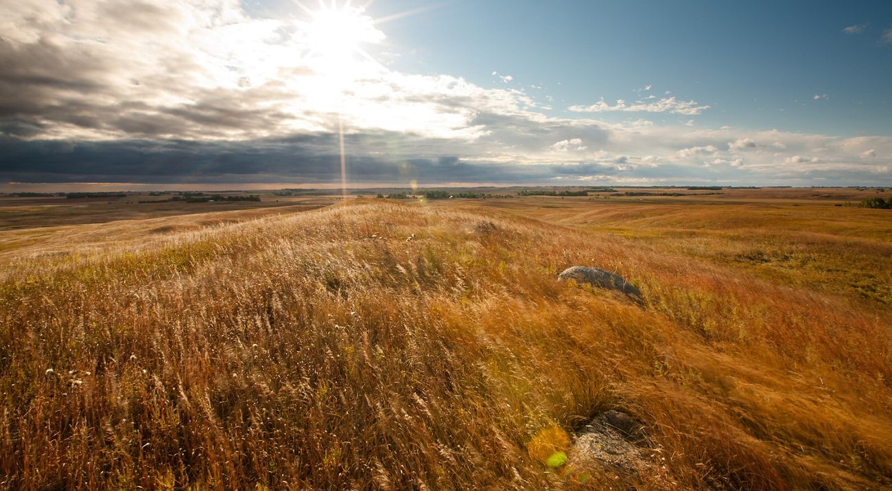 Sunset at grasslands.