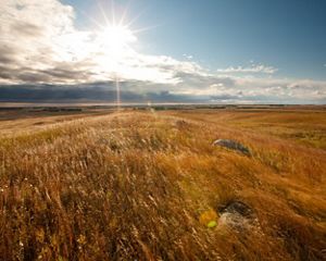 Grassland in South Dakota.