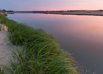 The sun sets on the Missouri River, turning the sky pink and the water pink with the sky's reflection; tall green grasses grow at the river's edge in the foreground.