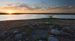 John E. Williams Preserve.