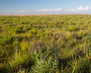 Glacial Ridge National Wildlife Refuge is the largest prairie-wetland restoration project in U.S. history.