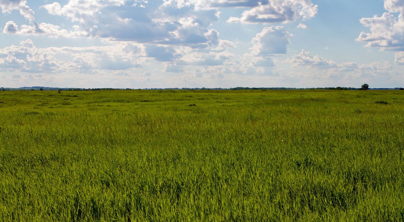 Chippewa Prairie