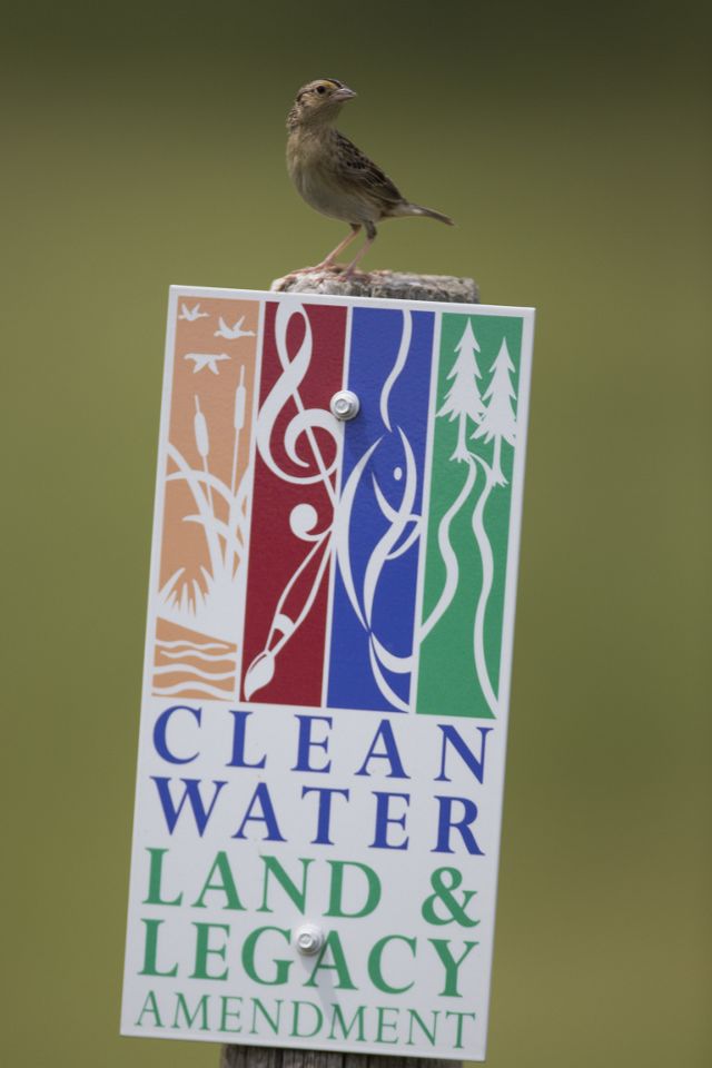 A small brown bird perched atop a Clean Water Land & Legacy Amendment sign.