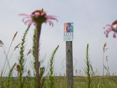 The Clean Water, Land and Legacy Amendment sign framed by purple coneflowers.