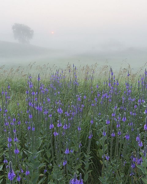 pictured at sunrise.