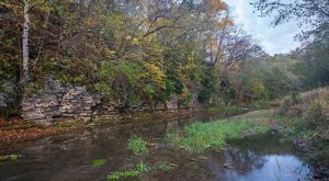 The calm, flat waters of a spring flow past a wall of rock and forest.