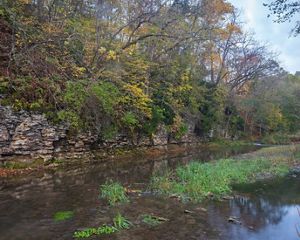 The calm, flat waters of a spring flow past a wall of rock and forest at Seven Springs WMA.
